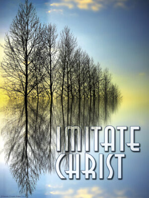 Sixth Sunday of Ordinary Time C Cover - English