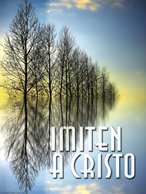 Sixth Sunday of Ordinary Time C Cover - Spanish