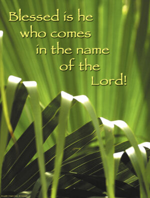 Palm Sunday of the Passion of the Lord Cover - English