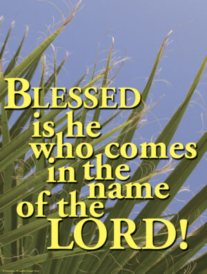 Palm Sunday of the Passion of the Lord B Cover - English