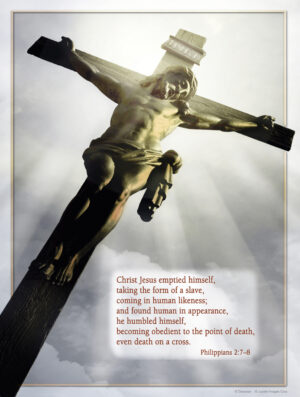 Palm Sunday of the Passion of the Lord C Cover - English