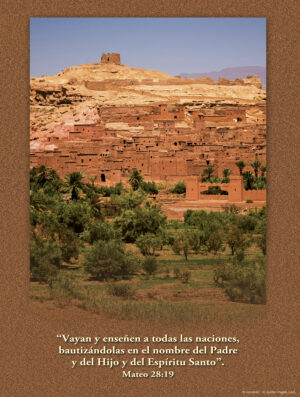 The Most Holy Trinity Cover - Spanish