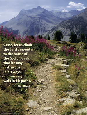 First Sunday of Advent F Cover - English