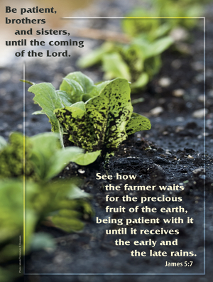 Third Sunday of Advent G Cover - English