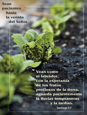 Third Sunday of Advent G Cover - Spanish