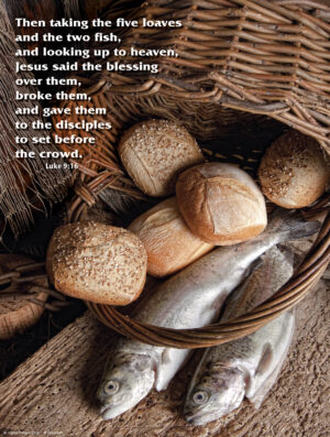 Corpus Christi C Cover - English