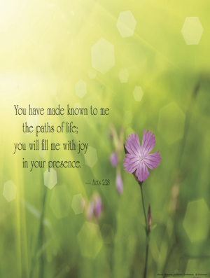 Third Sunday of Easter D Cover - English