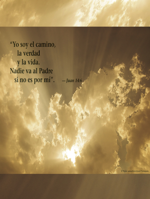 Fifth Sunday of Easter D Cover - Spanish