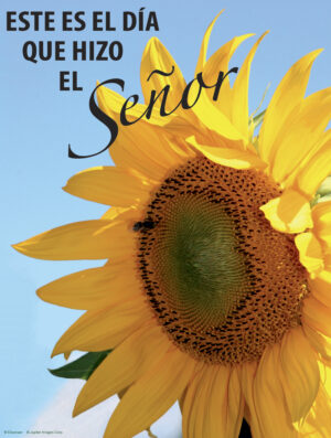 Second Sunday of Easter B Cover - Spanish