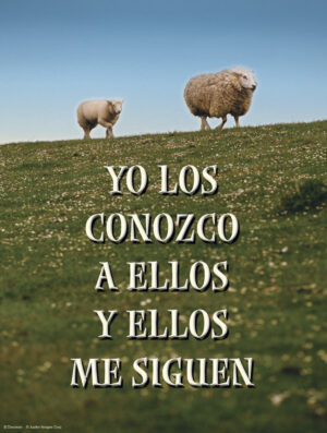 Fourth Sunday of Easter Cover - Spanish