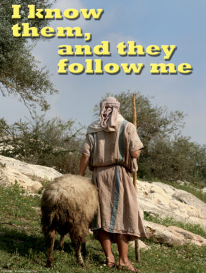 Fourth Sunday of Easter B Cover - English