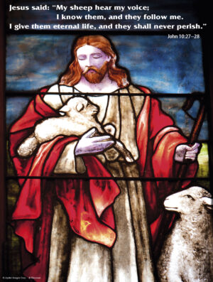 Fourth Sunday of Easter C Cover - English