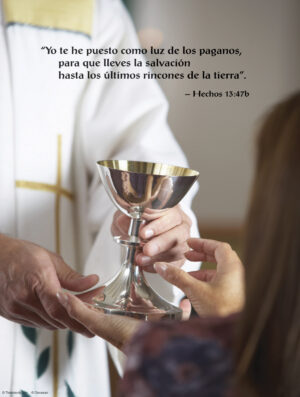 Fourth Sunday of Easter D Cover - Spanish