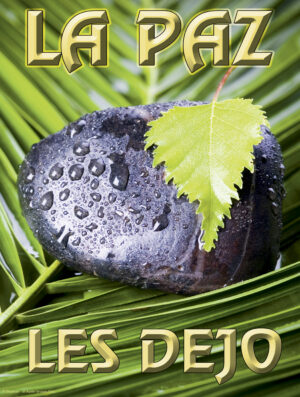 Sixth Sunday of Easter B Cover - Spanish