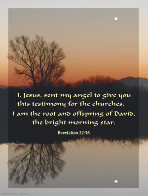 Seventh Sunday of Easter C Cover - English