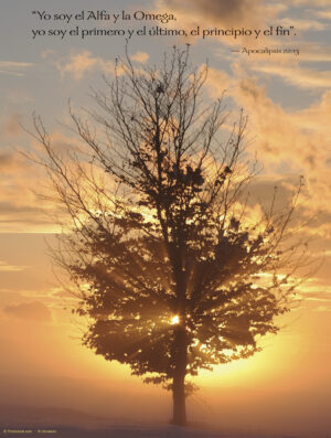 Seventh Sunday of Easter D Cover - Spanish