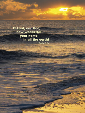 Holy Trinity C Cover - English