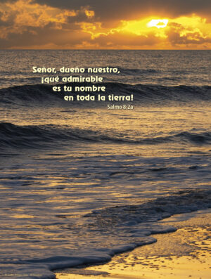 Holy Trinity C Cover - Spanish