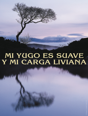 Fourteenth Sunday of Ordinary Time Cover - Spanish