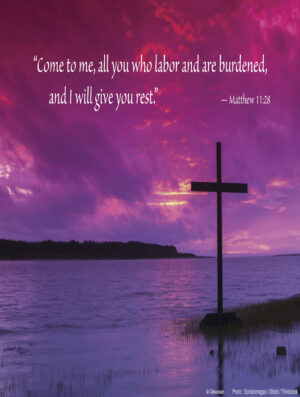 Fourteenth Sunday of Ordinary Time D Cover - English