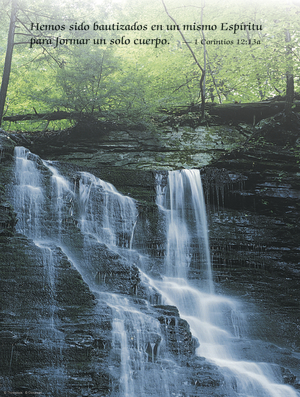 Pentecost D Cover - Spanish