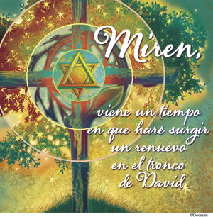 Ordinary Time Week 16 - Spanish