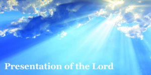 Liturgical Celebrations 14