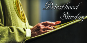 Liturgical Celebrations 24