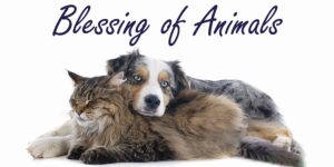 Liturgical Celebrations 38