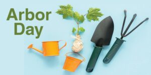 Arbor Day 3