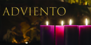 Advent 41