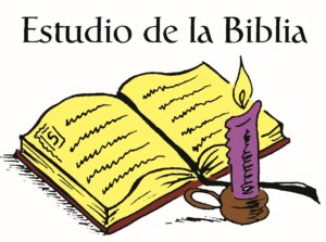 Bible 13