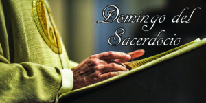 Liturgical Celebrations 85