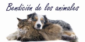 Liturgical Celebrations 99