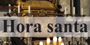 Liturgical Celebrations 115