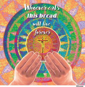 Ordinary Time Week 19  - English