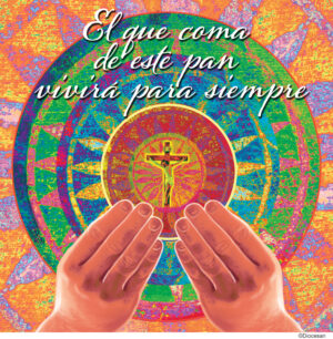 Ordinary Time Week 19 - Spanish