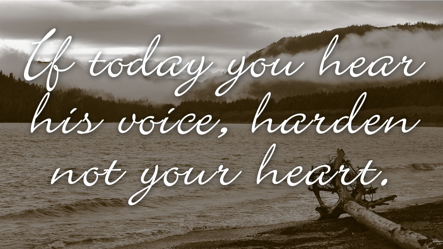 Ordinary Time - Week 27 - Response - English 1 Ordinary Time - Week 27 - Response - English