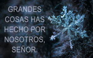 Advent - Week 2 - Response - Spanish - V2