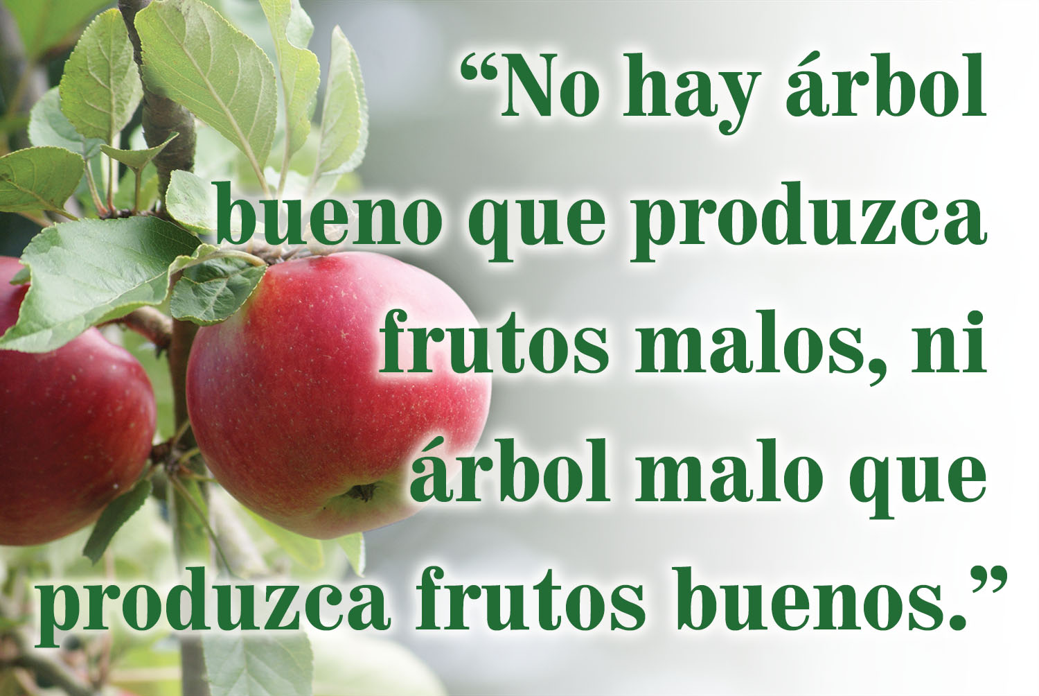 Ordinary Time - Week 8 - Gospel - Spanish - V2