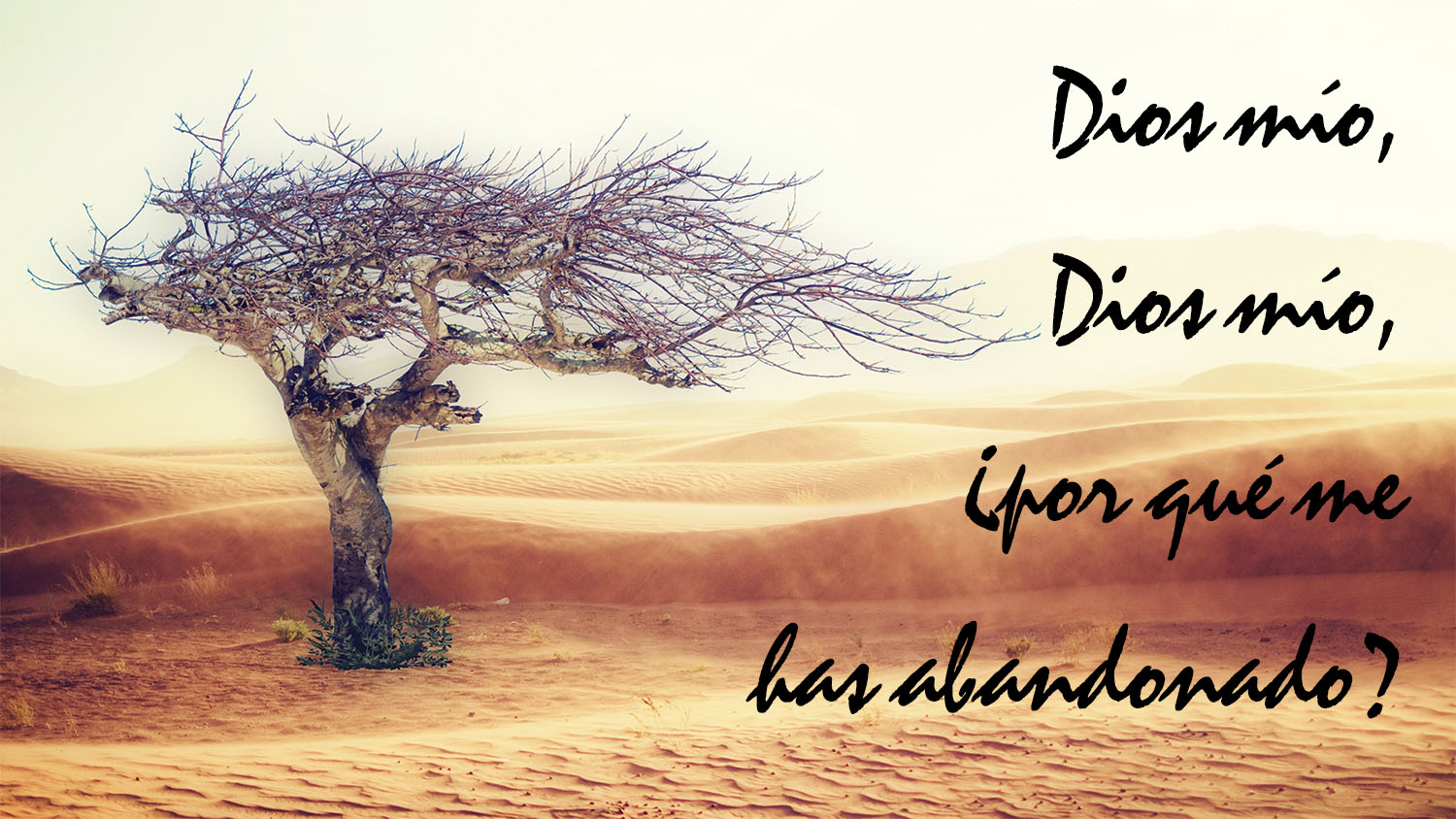 Palm Sunday - Response - Spanish - V2 1 Palm Sunday - Response - Spanish - V2