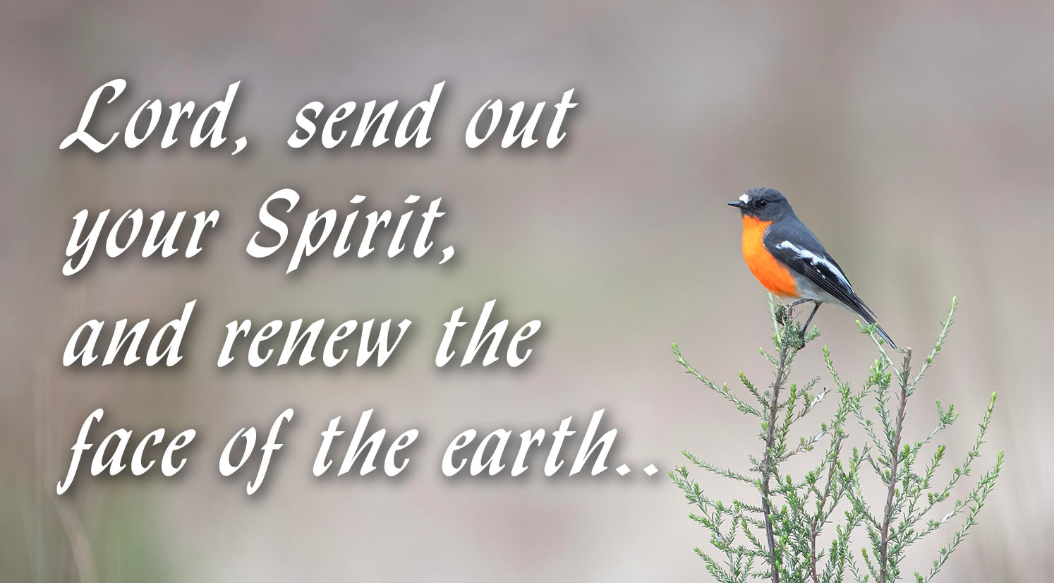 Easter - Vigil - Response - English - V2 1 Easter - Vigil - Response - English - V2