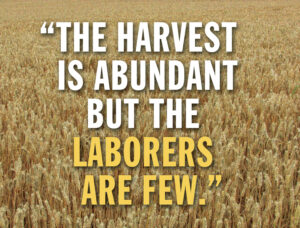 Ordinary Time - Week 14 - Gospel - English - V2