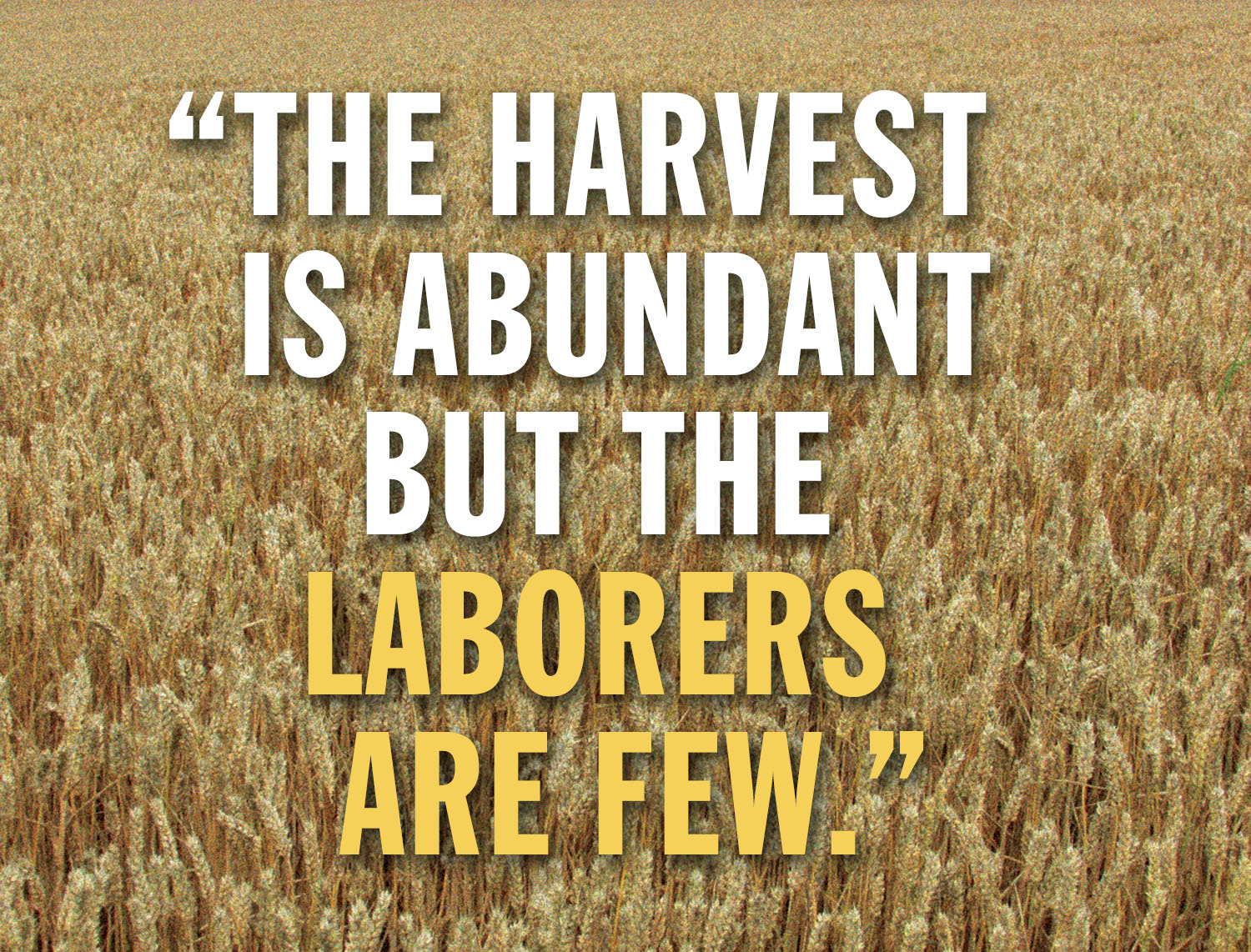 Ordinary Time - Week 14 - Gospel - English - V2