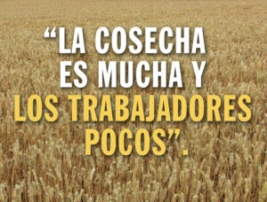 Ordinary Time - Week 14 - Gospel - Spanish - V2