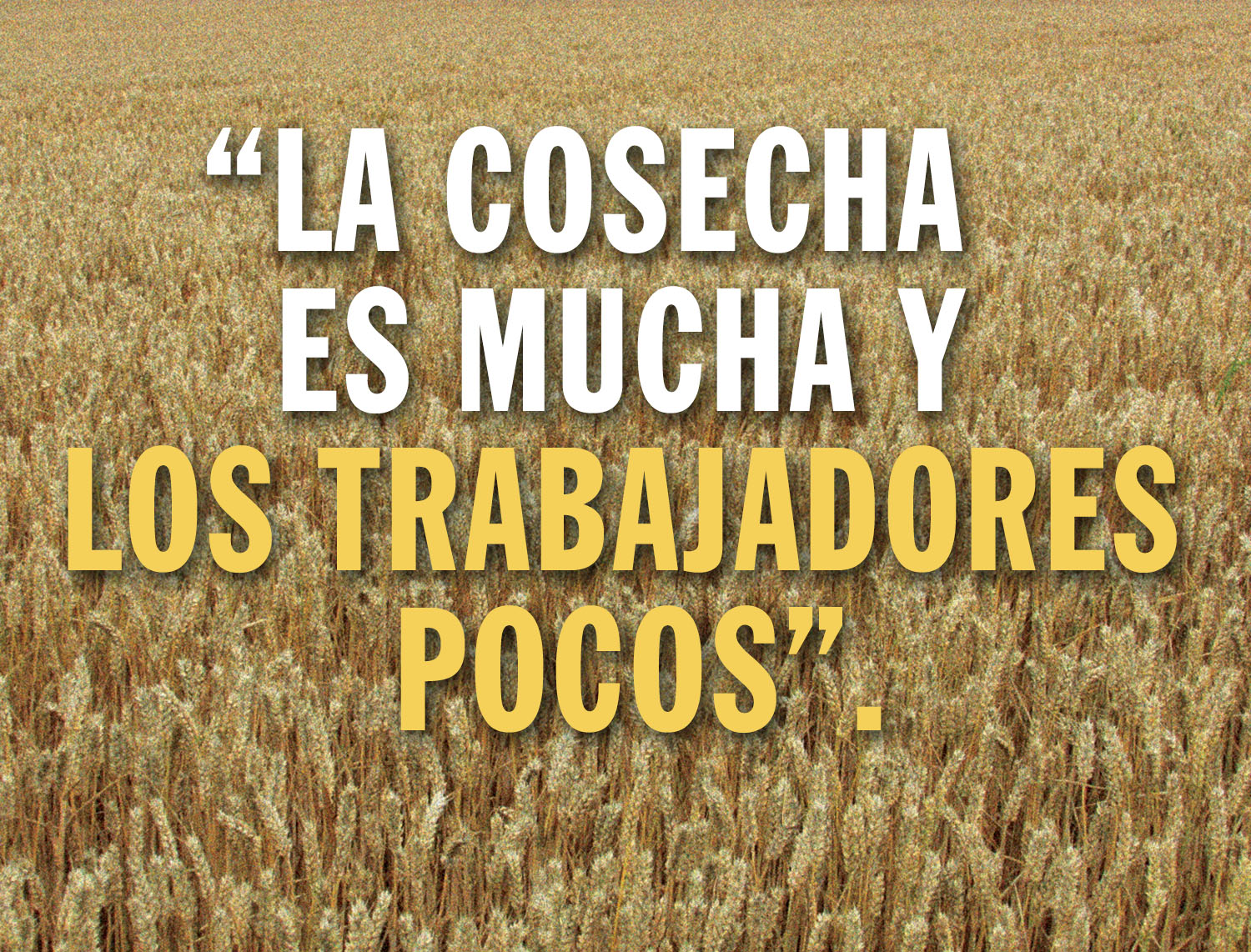 Ordinary Time - Week 14 - Gospel - Spanish - V2