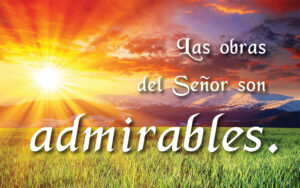 Ordinary Time - Week 14 - Response - Spanish - V2