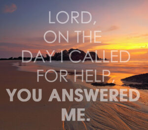 Ordinary Time - Week 17 - Response - English - V2