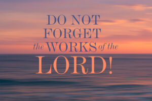 Feast of the Exaltation - Response - English - V2