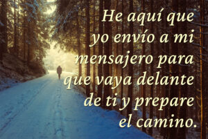 Advent - Week 3 - Gospel - Spanish - V2